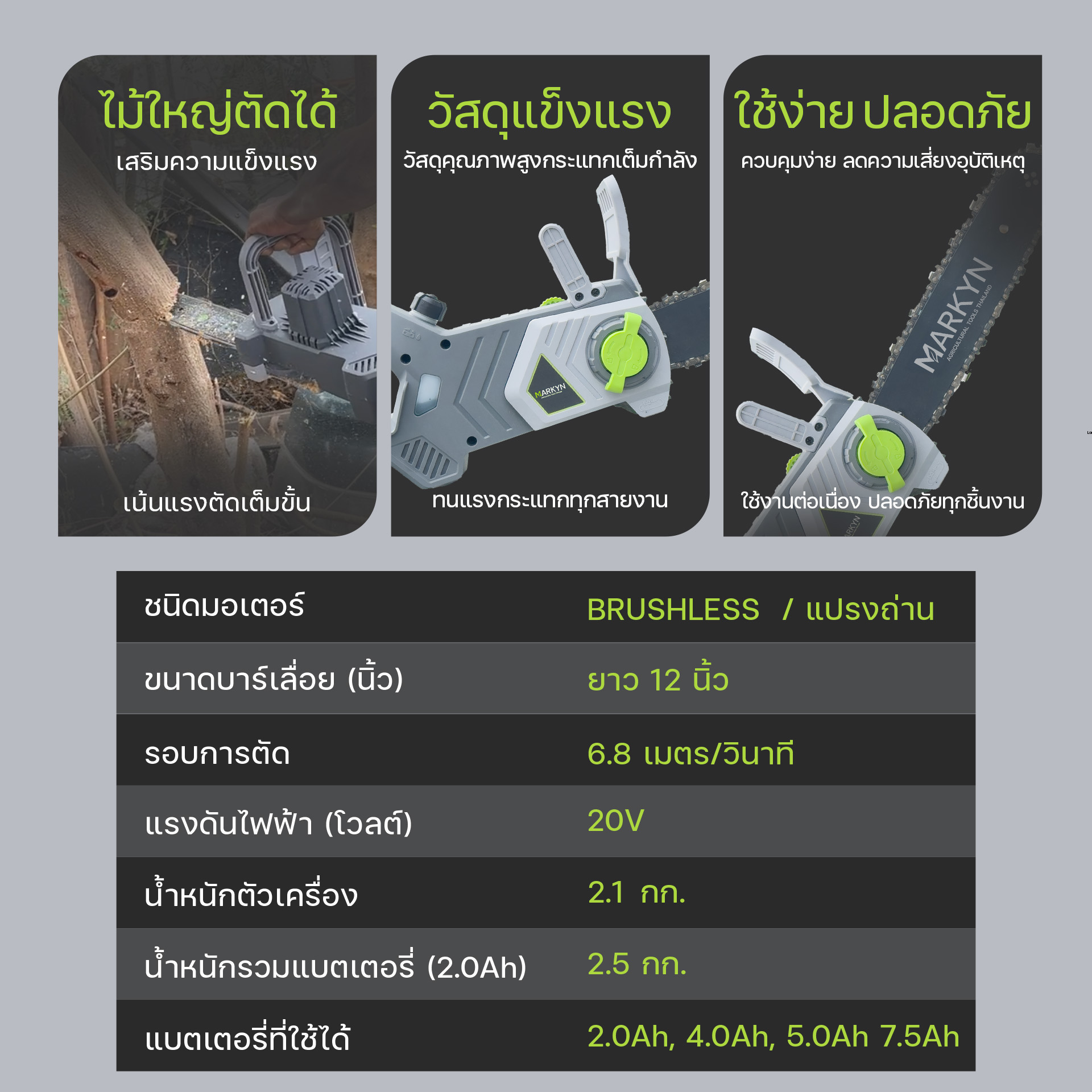 MKCS12-L1 รูปที่ 1